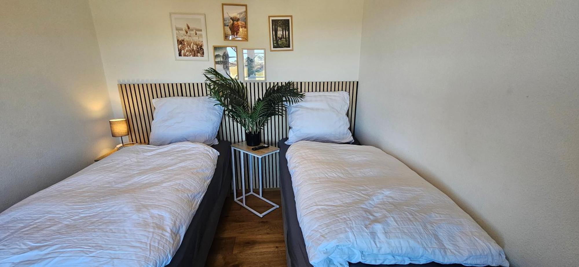 Charmantes Eifel Ferienhaus An Der Schavener Heide Mechernich Εξωτερικό φωτογραφία